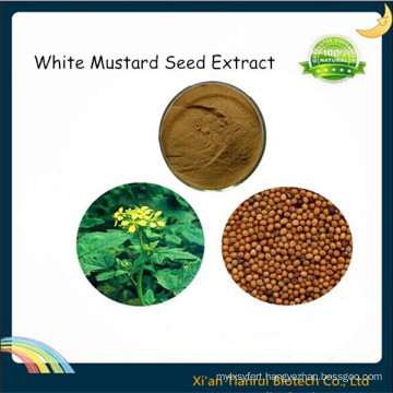 White Mustard Seed Extract, Mustard Seed Extract